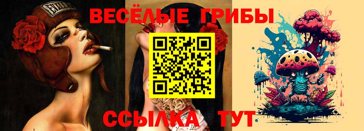 Галлюциногенные грибы мицелий  Вход с VPN  Добрянка 